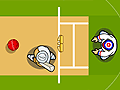 Cricket