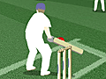 Cricket Challenge