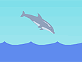 Dolphin Olympics