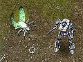 Excited Insects