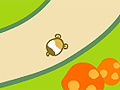 Hamster Race