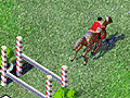 Horse Show Jumping