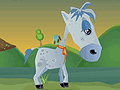 Horsey Racing