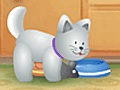 Net Pet