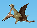 Ptero Glide