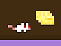Rat Maze 2