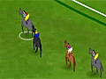Stay the Distance Horse Racing
