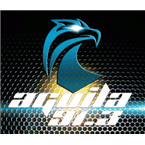 AGUILA 91.3 FM logo