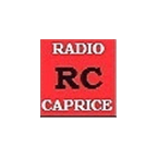 Radio Caprice Industrial Metal logo