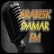 ARBESK DAMAR FM logo