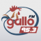 Gallo 95.3 FM logo
