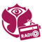 Tomorrowland Radio