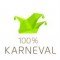 100% Karneval logo