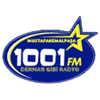 1001 FM logo