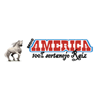 Radio America Raiz logo