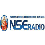 NSE Radio Chile logo