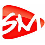 Salsa logo