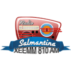 Salmantina 810 logo