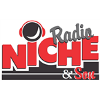 RADIO NICHE Y SON logo