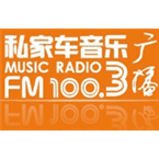 Wenzhou Music Radio logo