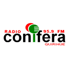 Conifera logo