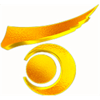 Baise Music Radio logo