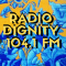 104.1 WDYO Radio Dignity logo