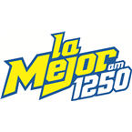 La magnífica 95.5 FM logo