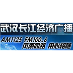 Wuhan Yangtze River Economics Radio logo