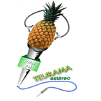 TEURAMA ESTÉREO logo