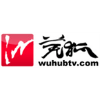 Wuhu News Radio logo