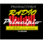 radioprincipio.cl logo