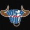105.9 The Bull logo