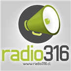 316 logo