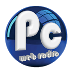 Painel de Controle Flashback logo