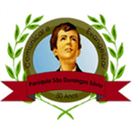 Rádio Web São Domingos Sávio logo