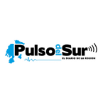 Pulso del Sur logo