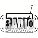 Radio Sonora Internacional logo