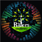 Radio Raices CDMX logo