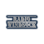 Radio Windsock logo