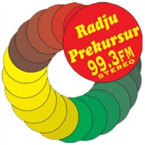 Radju Prekursur logo