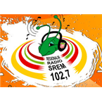 Radio Srem logo
