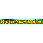 Radio Zvizd logo