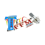 Tamils Flash FM logo
