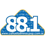 FM NacPop 88.1 logo