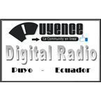 Puyence Digital logo