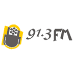 FM 91.3 Transformación de Coronel Pringles logo