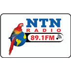 NTN RADIO 89.1 FM logo