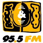 Rock and Pop FM logo