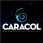 FM CARACOL 95.5 logo